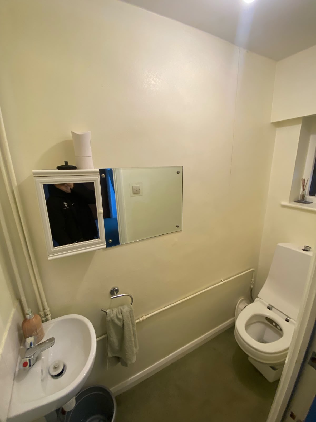 Downstairs Toilet before renovation.